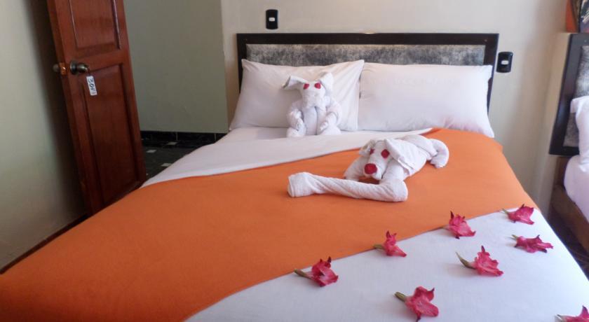 New Day Machu Picchu Hotel Aguas Calientes Ngoại thất bức ảnh