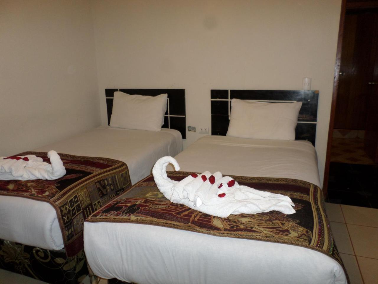 New Day Machu Picchu Hotel Aguas Calientes Ngoại thất bức ảnh